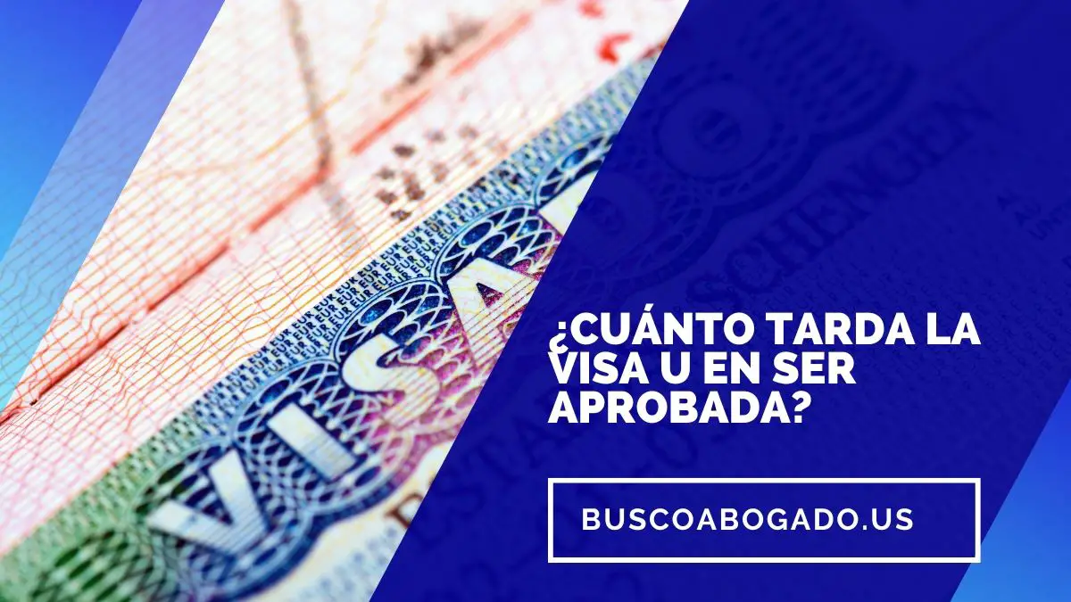 ¿Cuánto Tarda la Visa U en Ser Aprobada?【INFÓRMATE