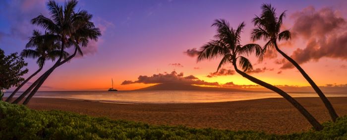 Para viajar a Hawaii necesitarás un pasaporte válido emitido por tu país de origen